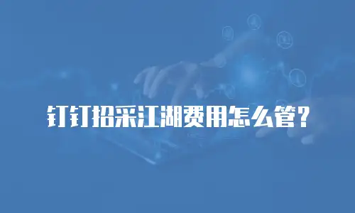 钉钉招采江湖费用怎么管？