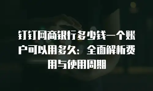 钉钉网商银行多少钱一个账户可以用多久：全面解析费用与使用周期