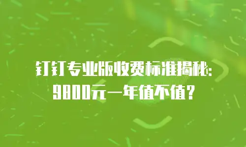 钉钉专业版收费标准揭秘：9800元一年值不值？