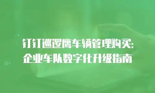 钉钉巡逻鹰车辆管理购买：企业车队数字化升级指南