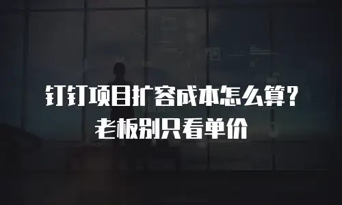 钉钉项目扩容成本怎么算？老板别只看单价