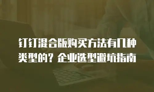 钉钉混合版购买方法有几种类型的？企业选型避坑指南