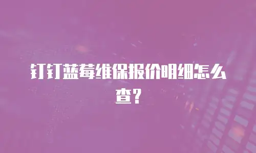 钉钉蓝莓维保报价明细怎么查？