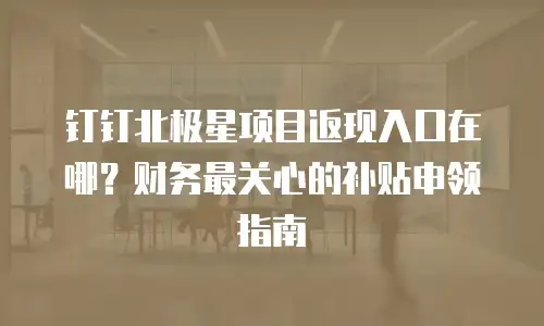钉钉北极星项目返现入口在哪？财务最关心的补贴申领指南