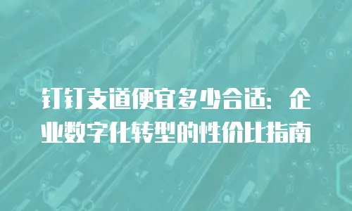 钉钉支道便宜多少合适：企业数字化转型的性价比指南
