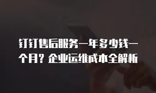 钉钉售后服务一年多少钱一个月？企业运维成本全解析