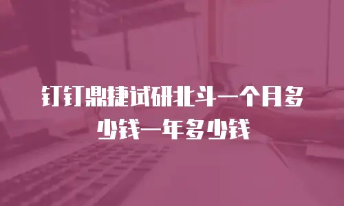 钉钉鼎捷试研北斗一个月多少钱一年多少钱
