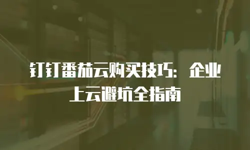 钉钉番茄云购买技巧：企业上云避坑全指南