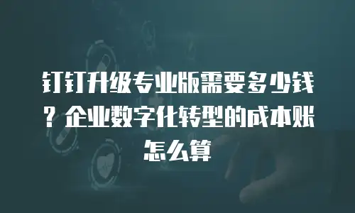 钉钉升级专业版需要多少钱？企业数字化转型的成本账怎么算