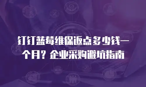 钉钉蓝莓维保返点多少钱一个月？企业采购避坑指南