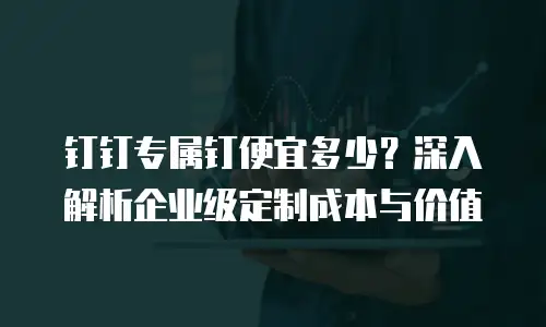 钉钉专属钉便宜多少？深入解析企业级定制成本与价值