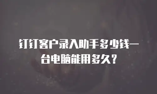 钉钉客户录入助手多少钱一台电脑能用多久？
