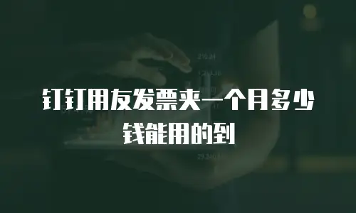 钉钉用友发票夹一个月多少钱能用的到