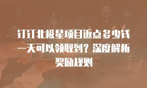 钉钉北极星项目返点多少钱一天可以领取到？深度解析奖励规则