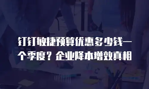 钉钉敏捷预算优惠多少钱一个季度？企业降本增效真相