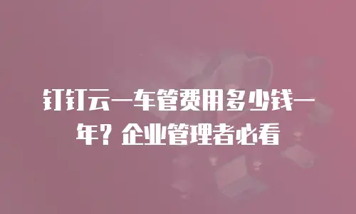 钉钉云一车管费用多少钱一年？企业管理者必看