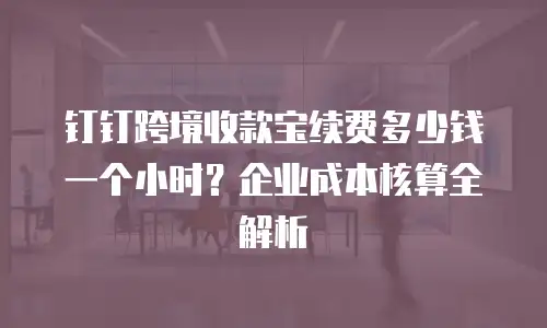 钉钉跨境收款宝续费多少钱一个小时？企业成本核算全解析