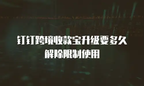 钉钉跨境收款宝升级要多久解除限制使用