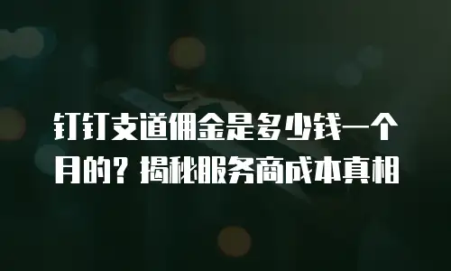 钉钉支道佣金是多少钱一个月的？揭秘服务商成本真相