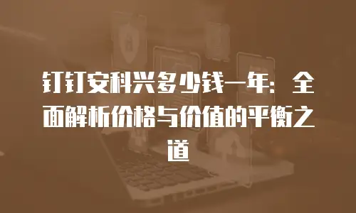 钉钉安科兴多少钱一年：全面解析价格与价值的平衡之道
