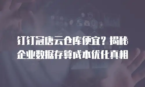 钉钉冠唐云仓库便宜？揭秘企业数据存算成本优化真相