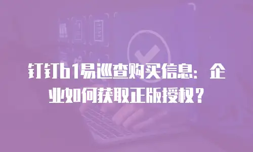 钉钉b1易巡查购买信息：企业如何获取正版授权？