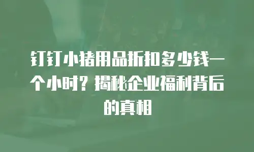 钉钉小猪用品折扣多少钱一个小时？揭秘企业福利背后的真相