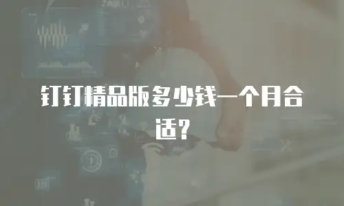 钉钉精品版多少钱一个月合适？
