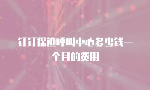 钉钉探迹呼叫中心多少钱一个月的费用