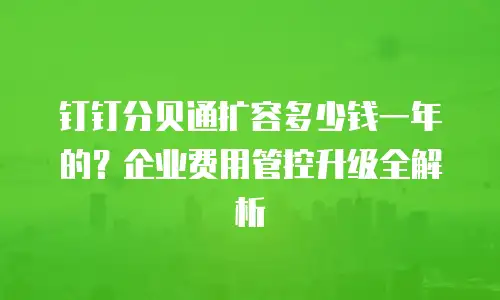钉钉分贝通扩容多少钱一年的？企业费用管控升级全解析