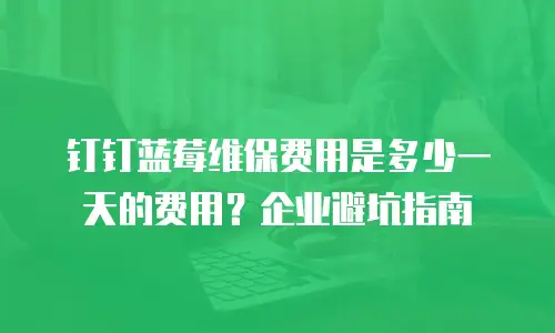 钉钉蓝莓维保费用是多少一天的费用？企业避坑指南
