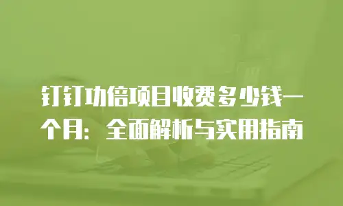 钉钉功倍项目收费多少钱一个月：全面解析与实用指南