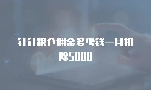 钉钉粮仓佣金多少钱一月扣除5000