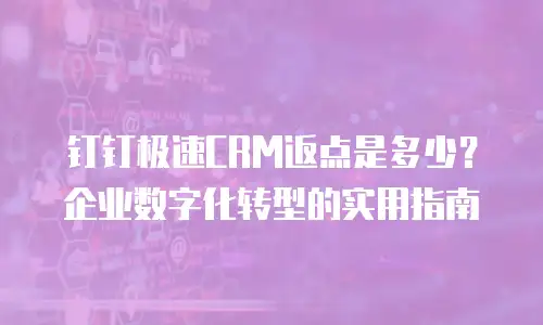 钉钉极速CRM返点是多少？企业数字化转型的实用指南