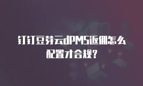 钉钉豆芽云dPMS返佣怎么配置才合规？