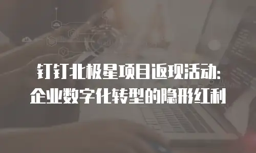 钉钉北极星项目返现活动：企业数字化转型的隐形红利