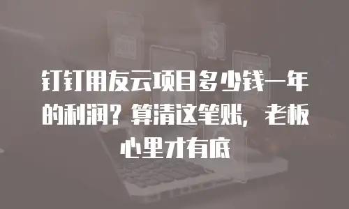 钉钉用友云项目多少钱一年的利润？算清这笔账，老板心里才有底