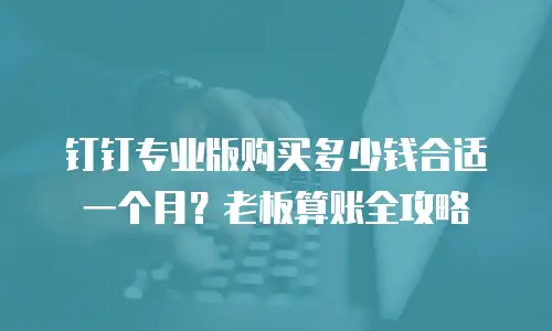 钉钉专业版购买多少钱合适一个月？老板算账全攻略