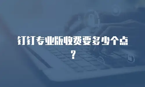 钉钉专业版收费要多少个点？