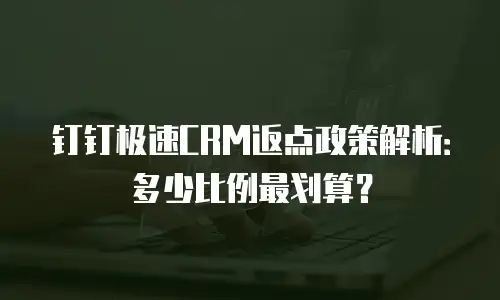钉钉极速CRM返点政策解析：多少比例最划算？