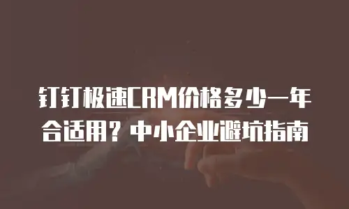 钉钉极速CRM价格多少一年合适用？中小企业避坑指南