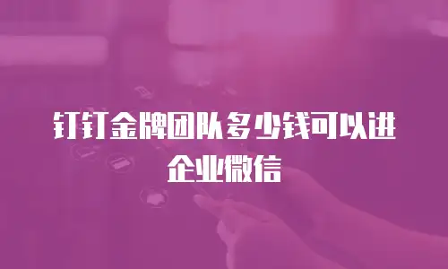 钉钉金牌团队多少钱可以进企业微信