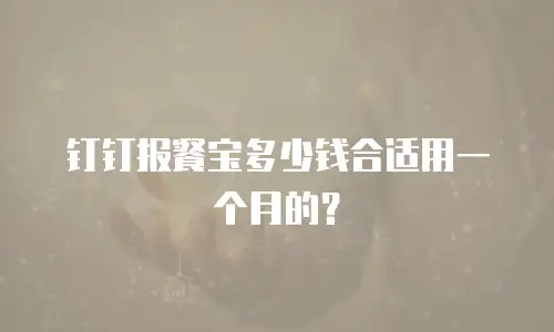 钉钉报餐宝多少钱合适用一个月的？