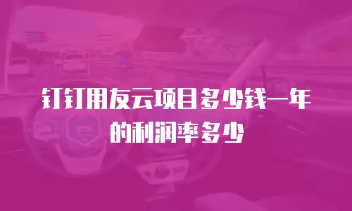 钉钉用友云项目多少钱一年的利润率多少