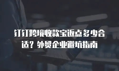 钉钉跨境收款宝返点多少合适？外贸企业避坑指南