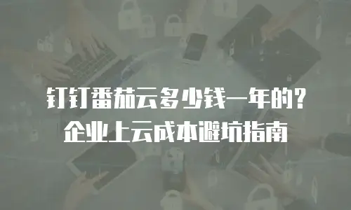 钉钉番茄云多少钱一年的？企业上云成本避坑指南