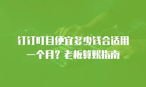 钉钉盯目便宜多少钱合适用一个月？老板算账指南
