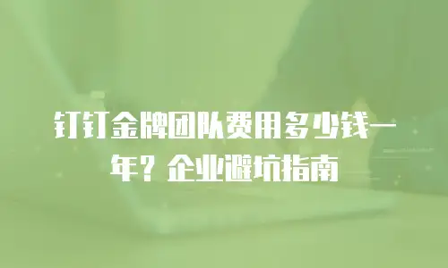钉钉金牌团队费用多少钱一年？企业避坑指南