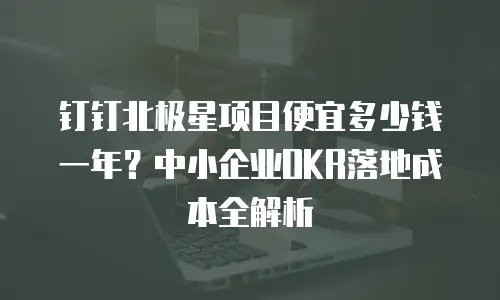 钉钉北极星项目便宜多少钱一年？中小企业OKR落地成本全解析