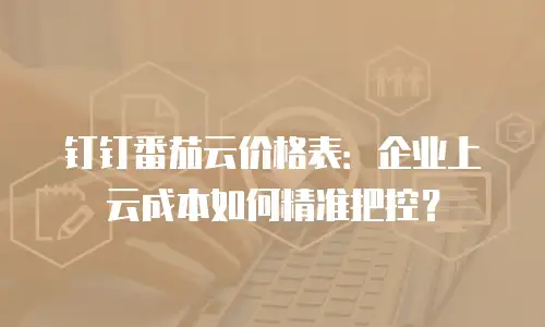 钉钉番茄云价格表：企业上云成本如何精准把控？